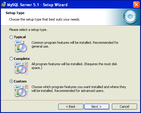 Installing MySQL Setup Type Pic